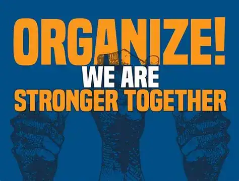 organizer